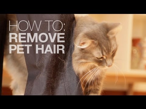 How to remove pet hair with just water