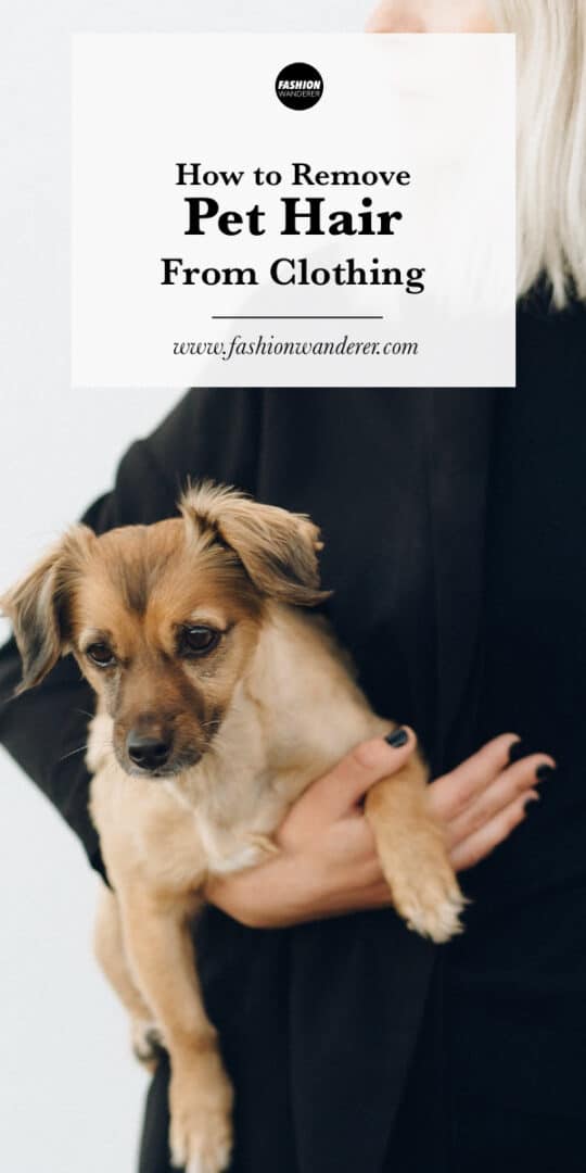 How To Remove Pet Hair From Clothing Fashion Wanderer