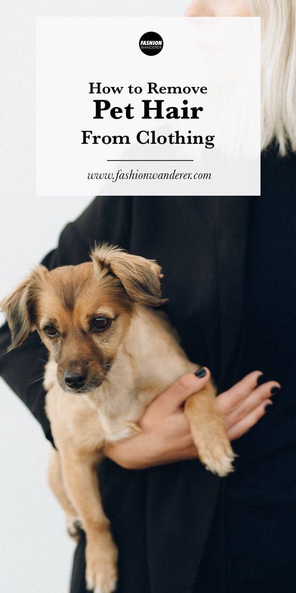How To Remove Pet Hair From Clothing Fashion Wanderer