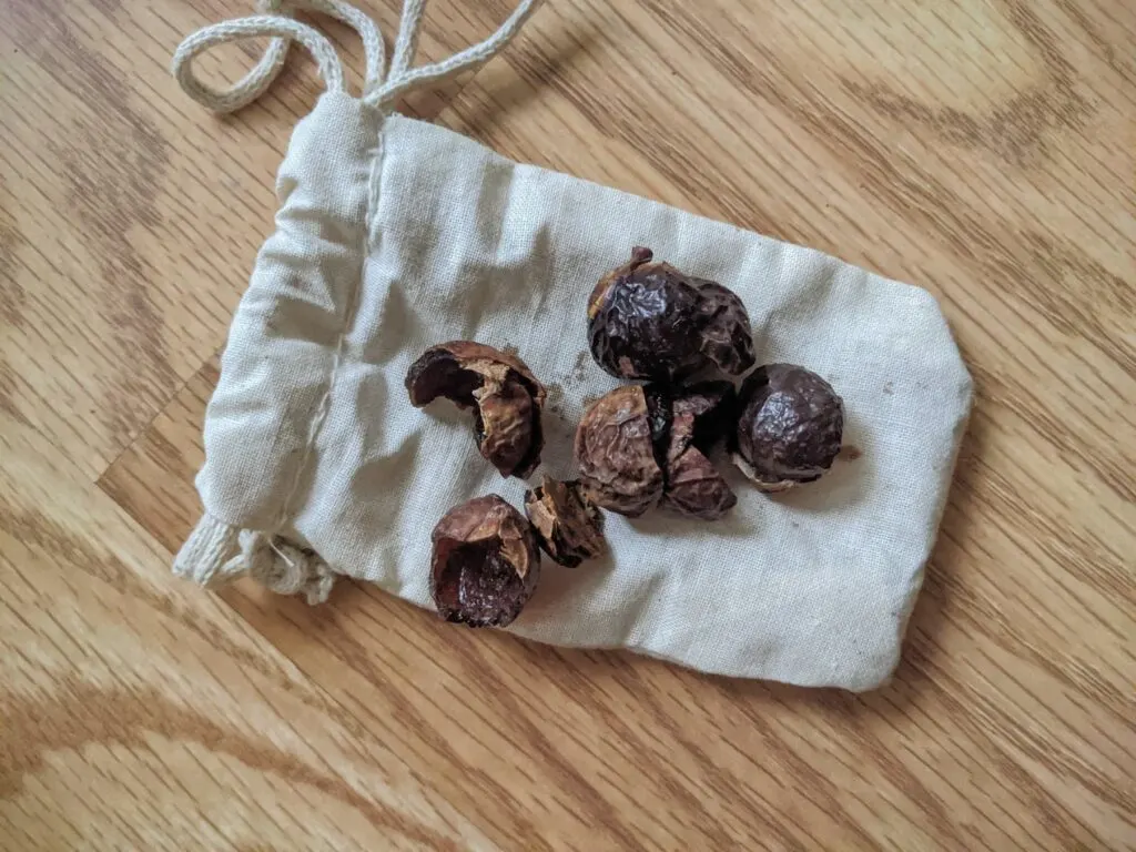 soap berry on the cloth bag